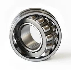 22313【CC】*Outer diameter (mm) : 120