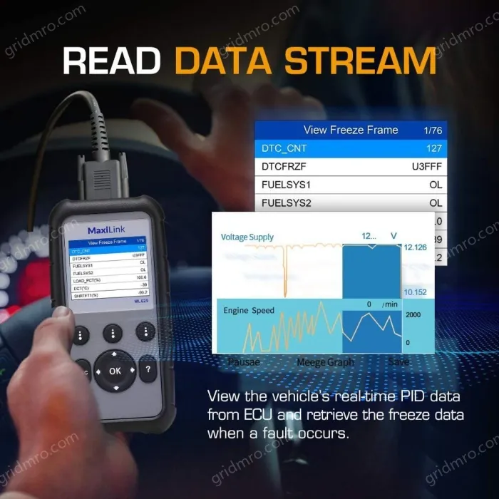 Aute1 MaxiLink ML629